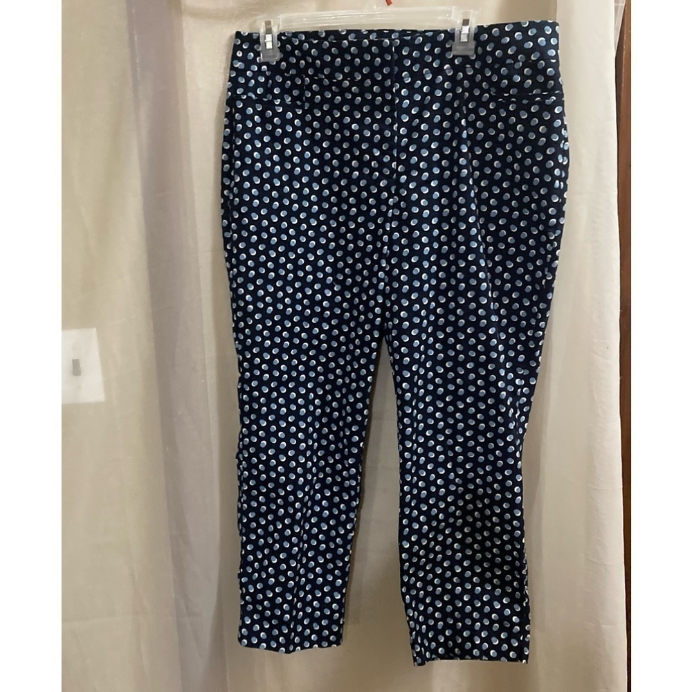 Ann Taylor corp pants blue and white